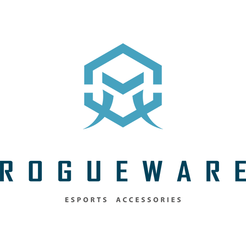 Rougeware 1TB NX100s
