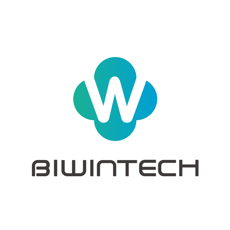 Biwintech 512GB SX500