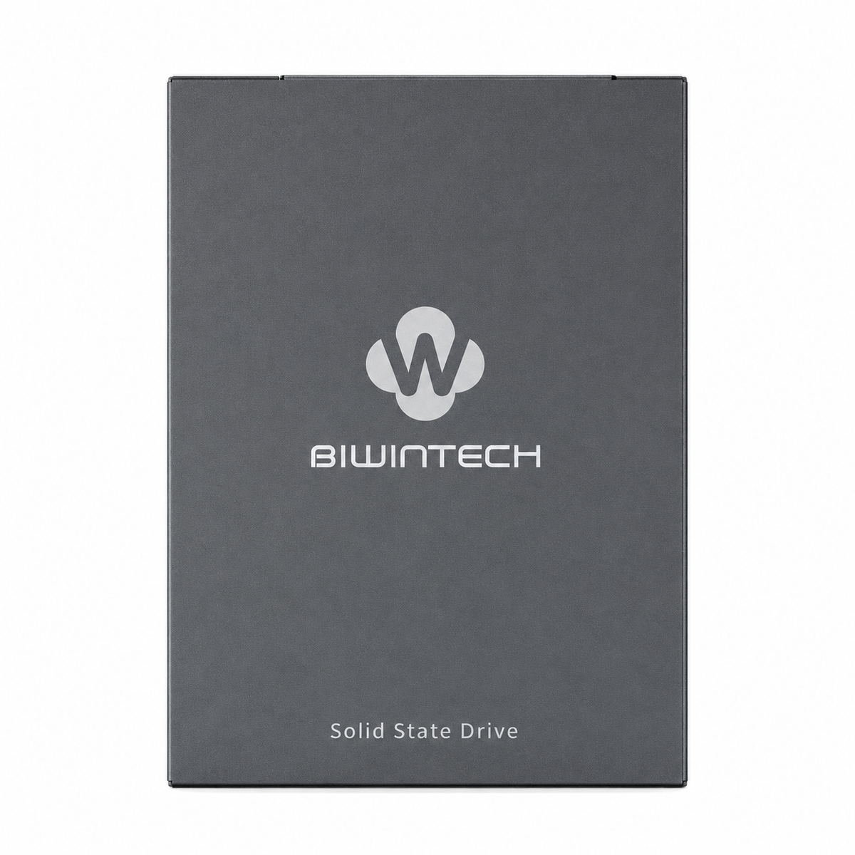 Biwintech 512GB SX500 – product image