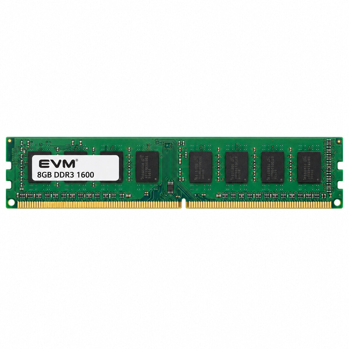 Illustrative straight-on EVM 8GB DDR3-1600 desktop DIMM on white background